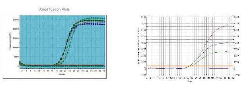 ʵӫⶨPCR